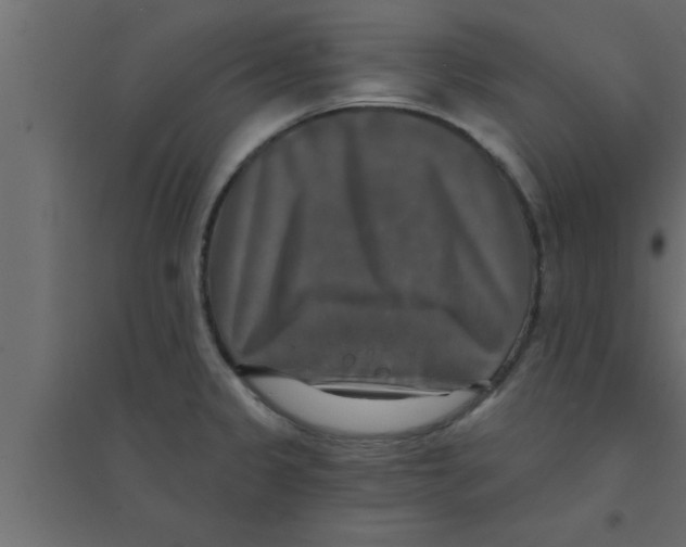 X0000094211333200711241651