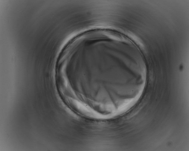 X0000094211334200711241651