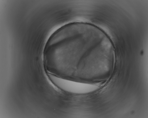 X0000094211335200711241651