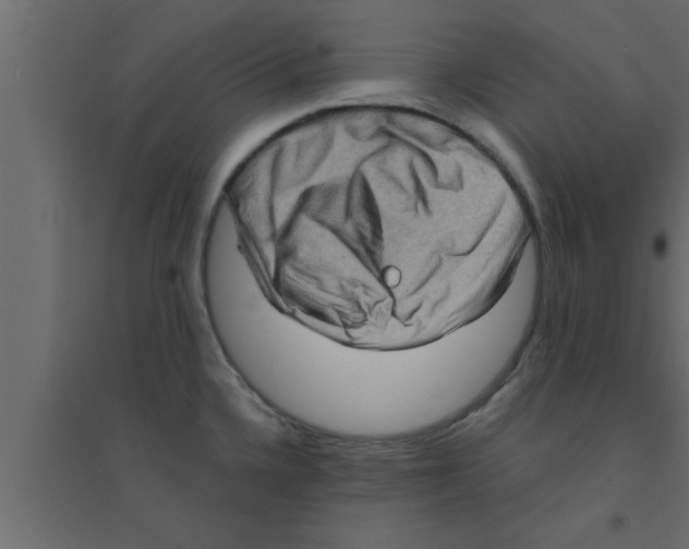 X0000094211336200711241651
