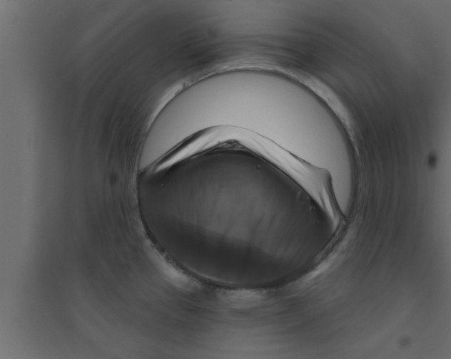 X0000094211337200711241651