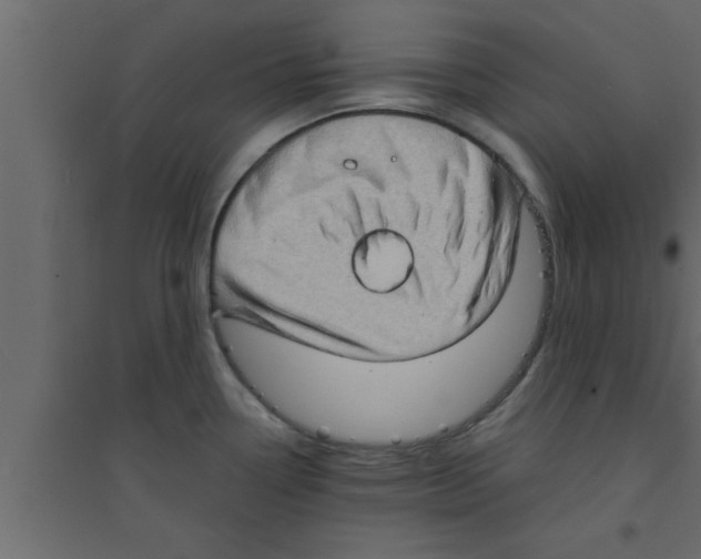 X0000094211338200711241651