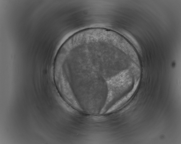 X0000094211340200711241652