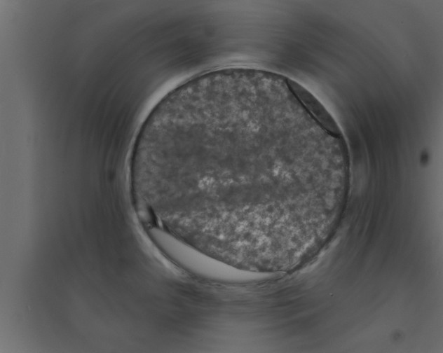 X0000094211341200711241652