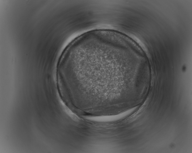 X0000094211342200711241652