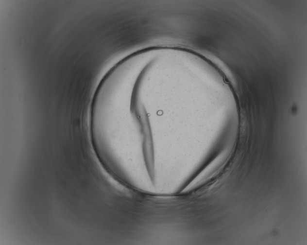 X0000094211343200711241652