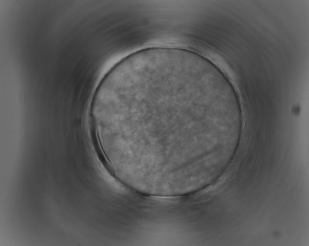 X0000094211344200711241652