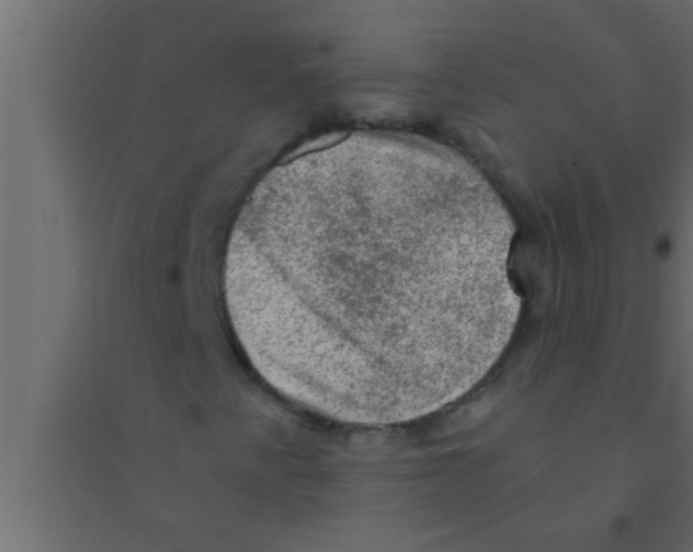 X0000094211345200711241651
