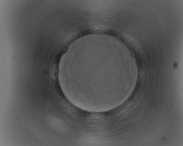 X0000094211346200711241651