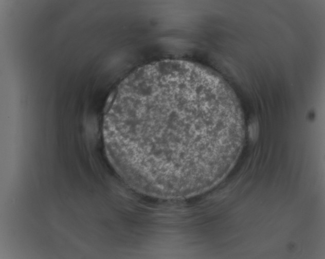 X0000094211347200711241651