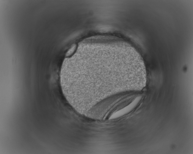 X0000094211349200711241651
