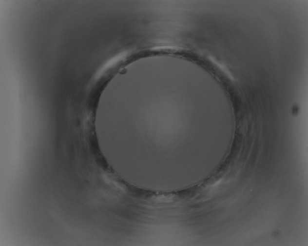 X0000094211351200711241651
