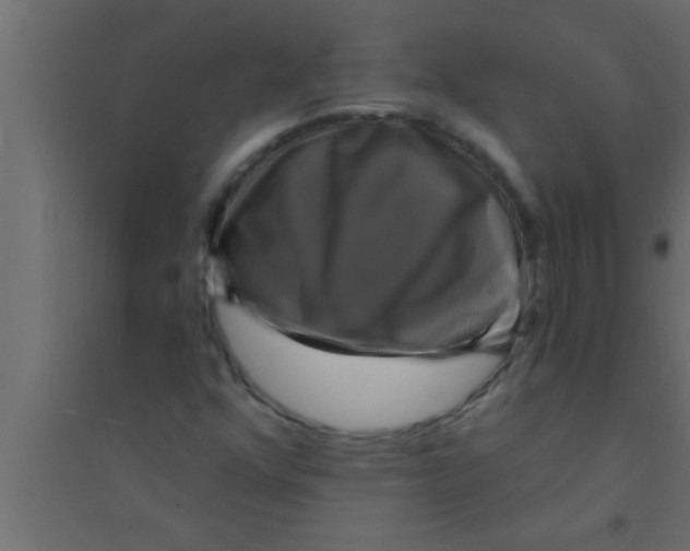 X0000094211352200711241651