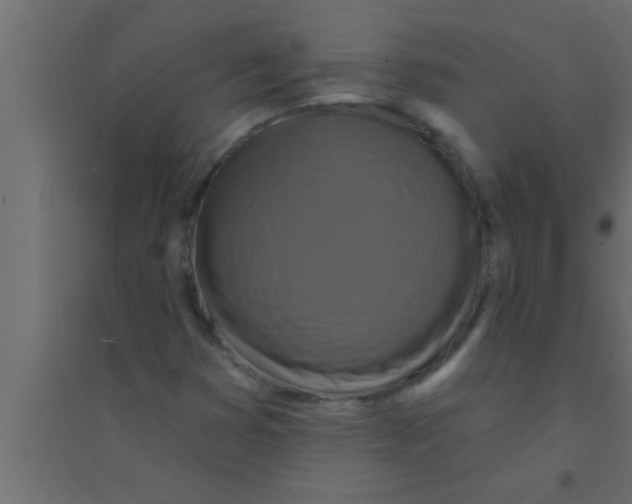 X0000094211353200711241651