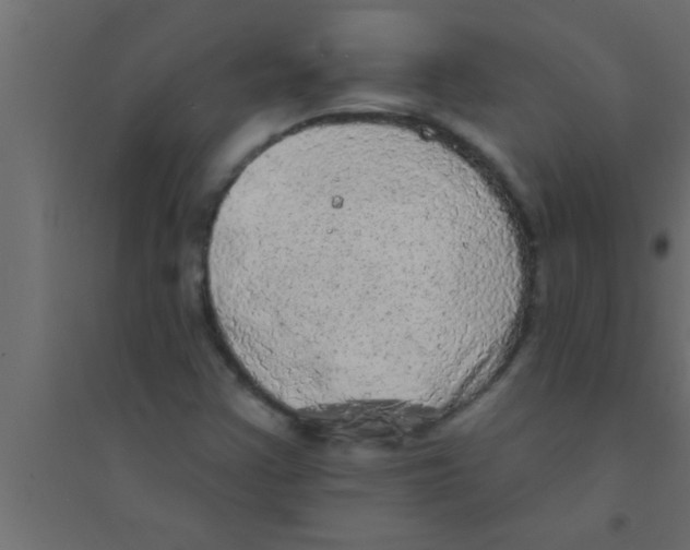 X0000094211355200711241651