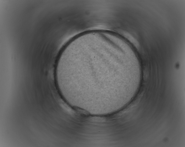 X0000094211356200711241651