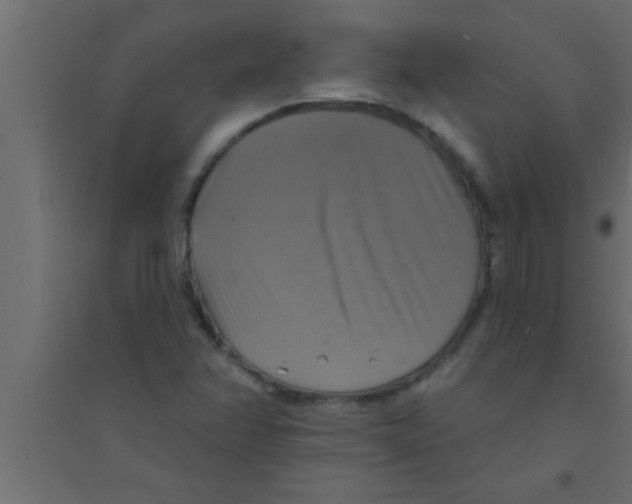 X0000094211358200711241651