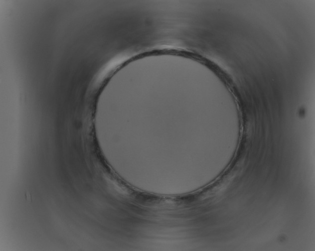X0000094211359200711241651