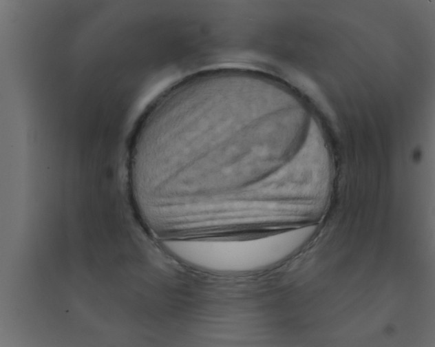 X0000094211360200711241651