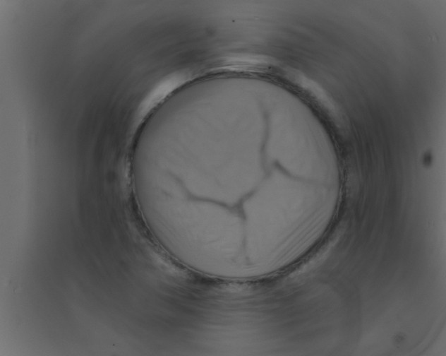 X0000094211362200711241651