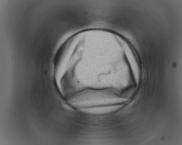 X0000094211366200711241651
