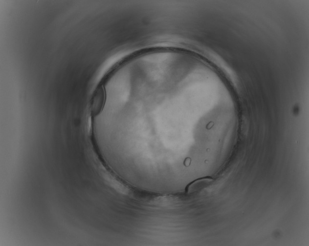 X0000094211368200711241651
