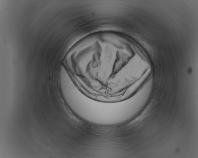 X0000094211369200711241651