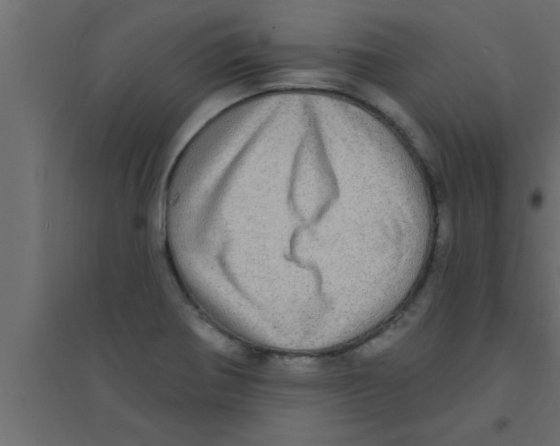 X0000094211370200711241651