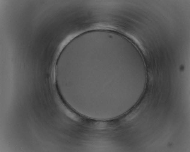 X0000094211371200711241651