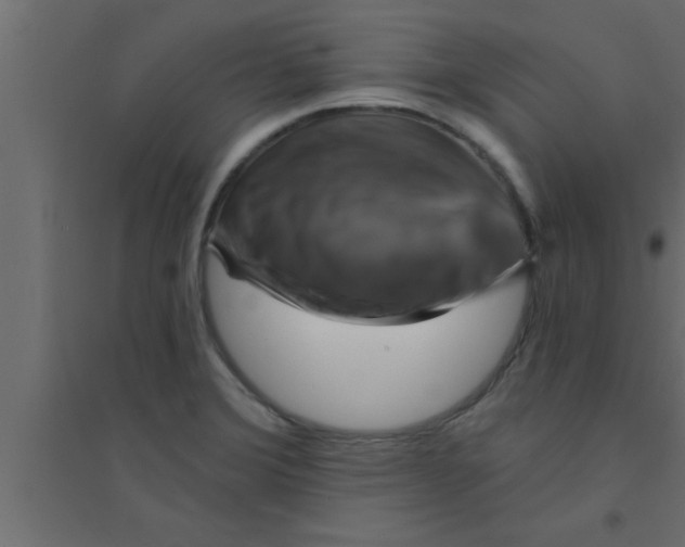 X0000094211372200711241651