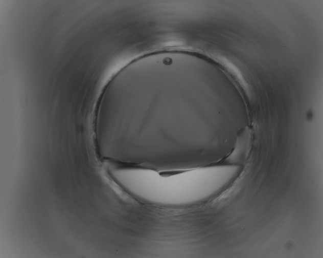 X0000094211373200711241651
