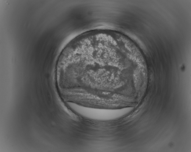 X0000094211375200711241650