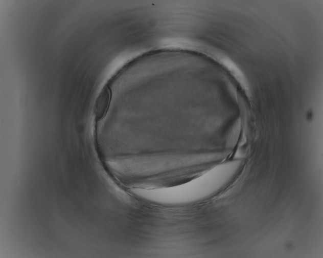 X0000094211376200711241650