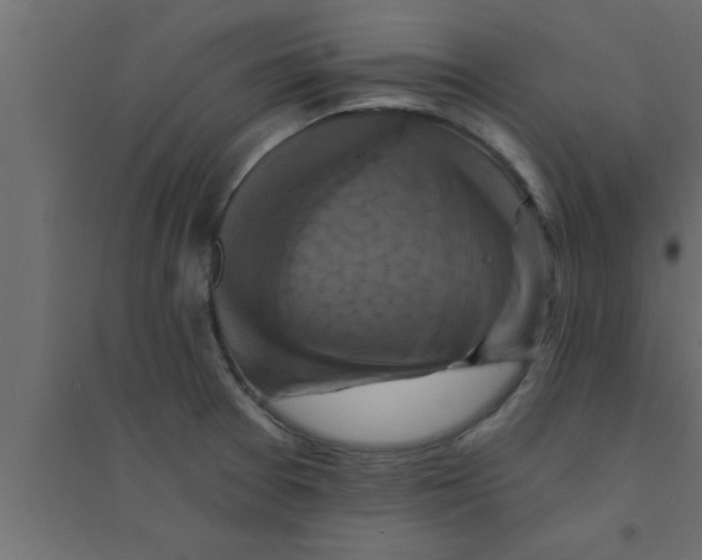 X0000094211377200711241650