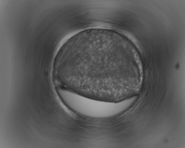 X0000094211379200711241650