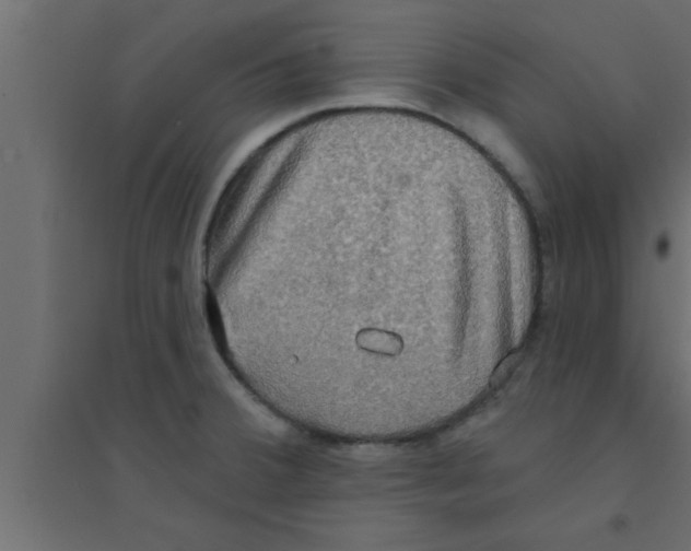 X0000094211380200711241650
