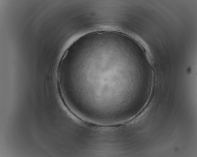 X0000094211381200711241650