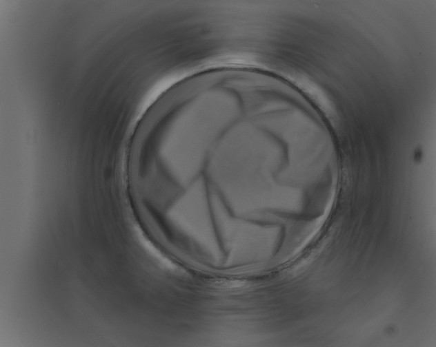 X0000094211382200711241650