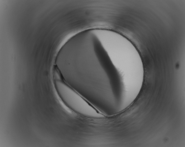 X0000094211383200711241650