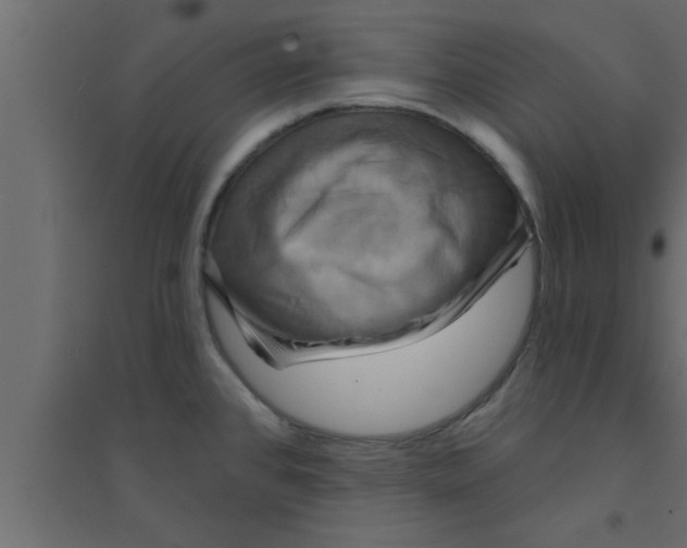 X0000094211384200711241650