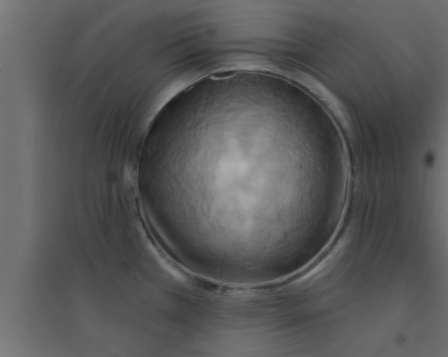 X0000094211385200711241650