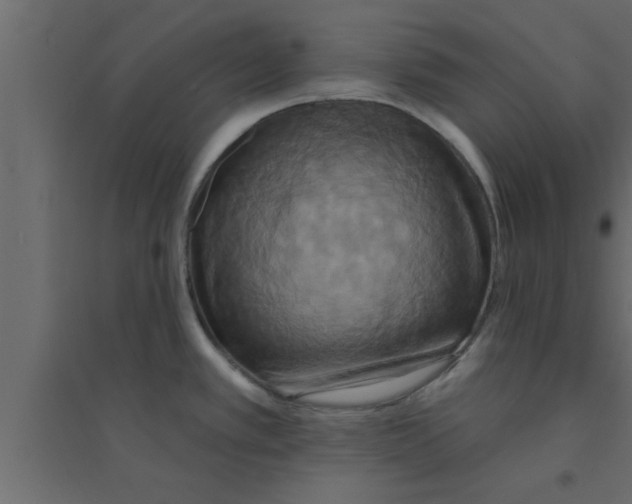 X0000094211389200711241650