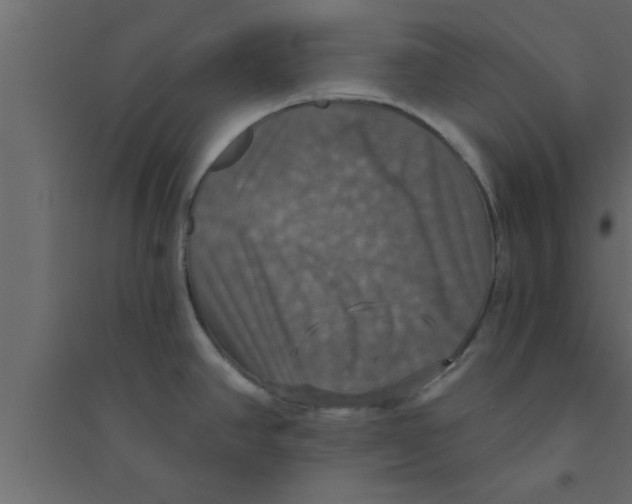 X0000094211390200711241650