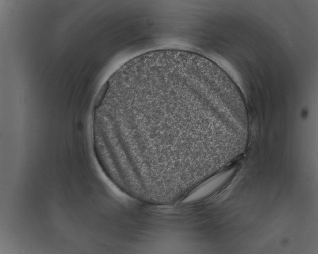 X0000094211391200711241650