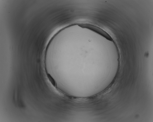 X0000094211392200711241650