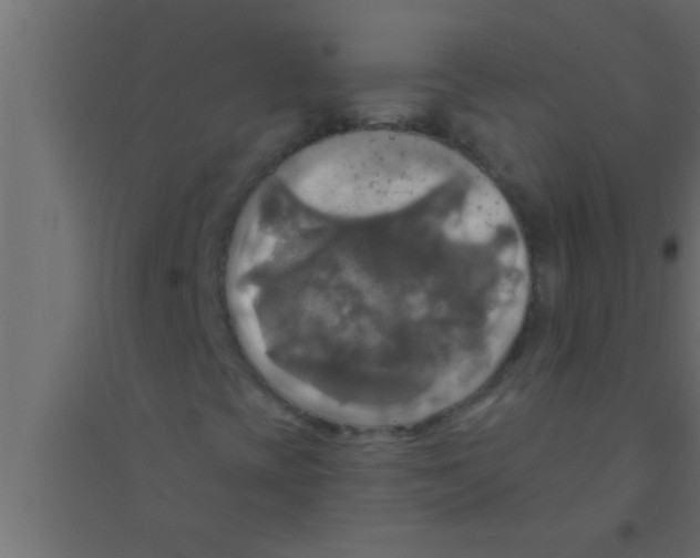 X0000094211393200711241649