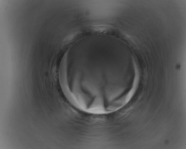 X0000094211394200711241649