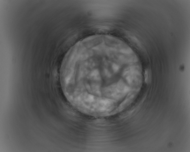 X0000094211395200711241649