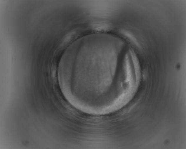 X0000094211396200711241649