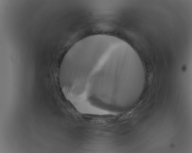 X0000094211397200711241649